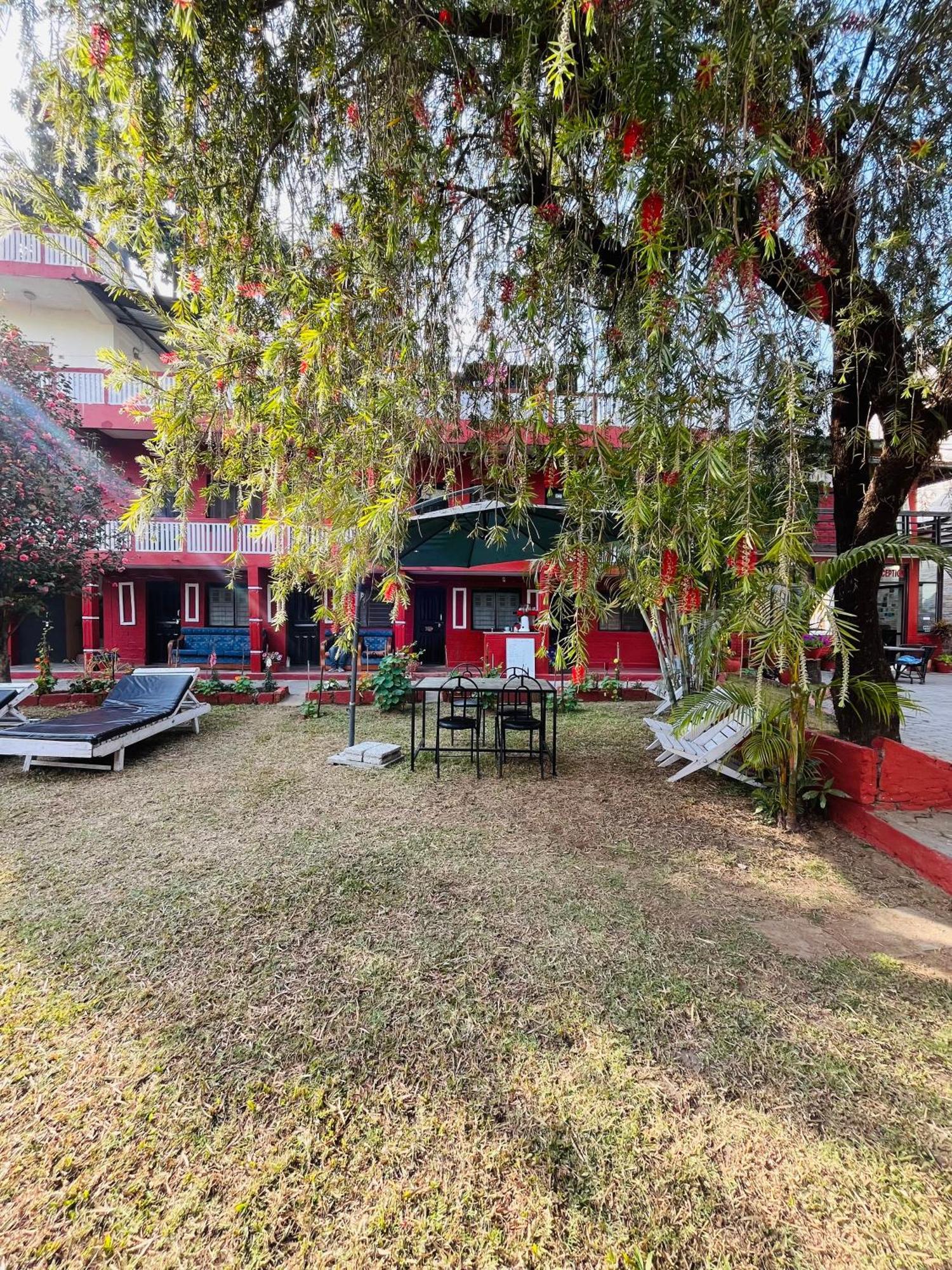 Butterfly Lodge Pokhara Esterno foto